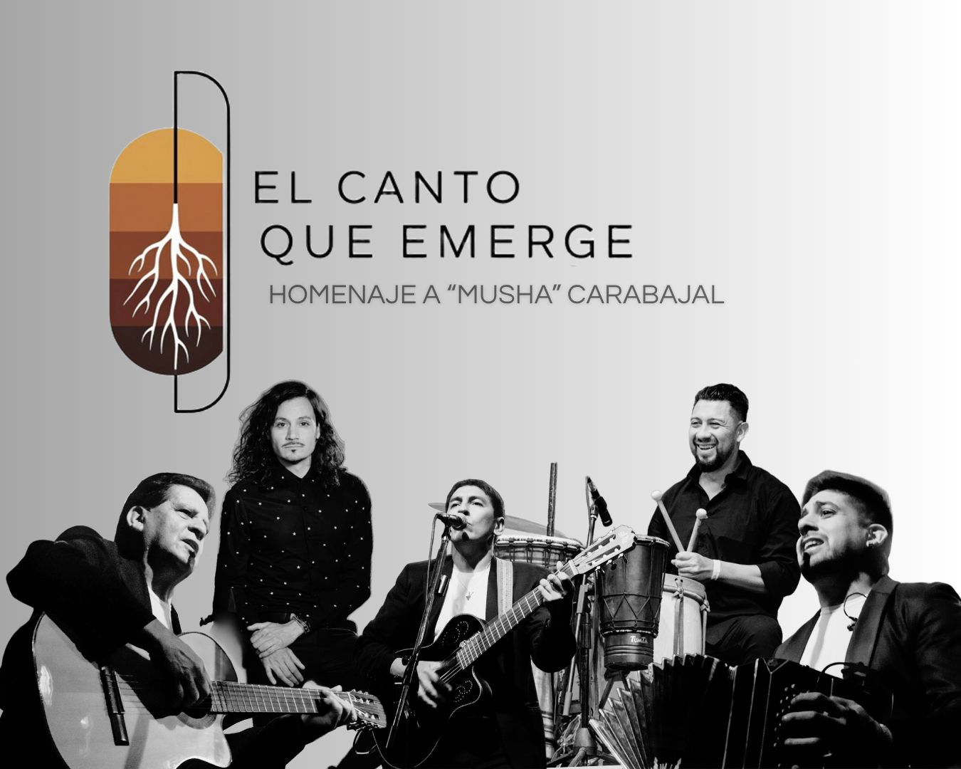 Imagen adicional