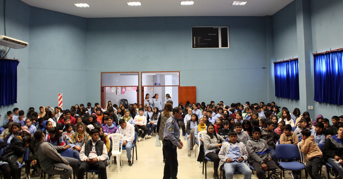Imagen adicional