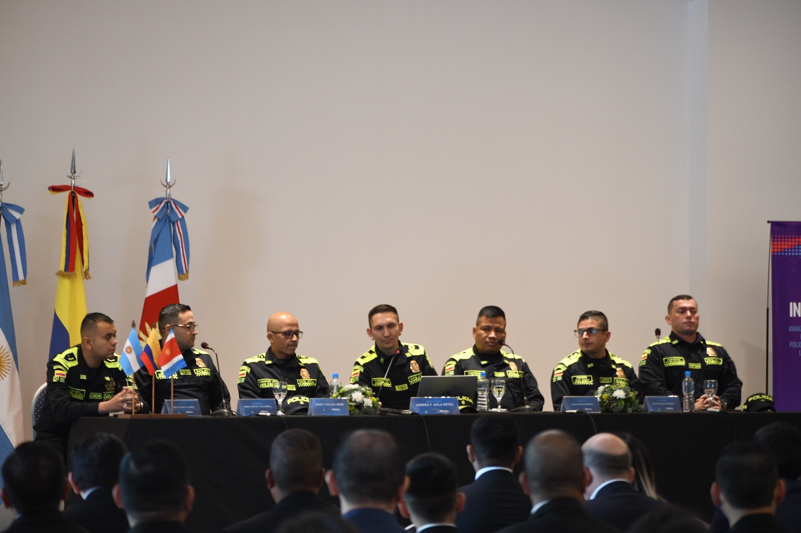 Imagen adicional